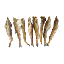 Private label new premium dried fish pet food for cat treats